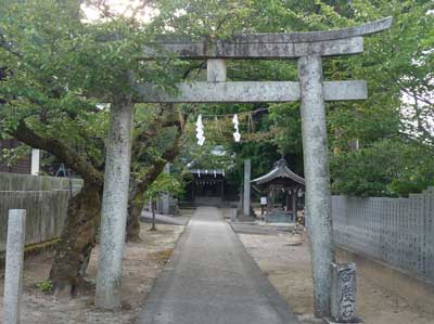 熊野三所神社鳥居