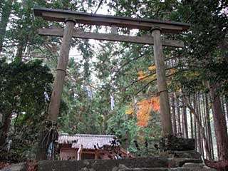 熊野神社鳥居