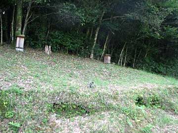 三熊野神社鳥居近く