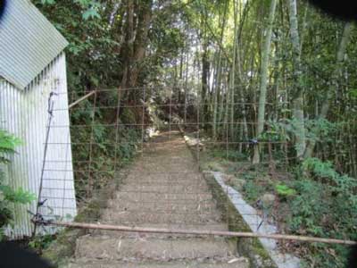 三熊野神社参道