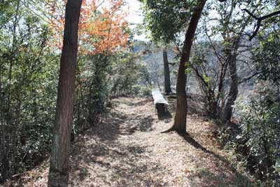 熊野神社参道