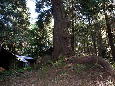 熊野三社境内