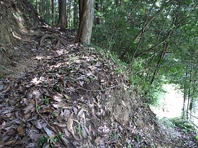 熊野神社参道