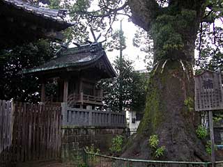 熊野神社本殿