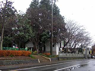 熊野神社遠景