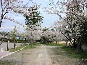 熊野神社参道