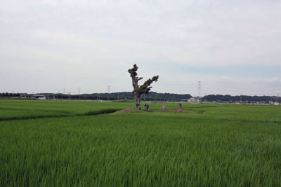 熊野神社遠景