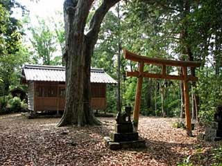 熊野神社境内