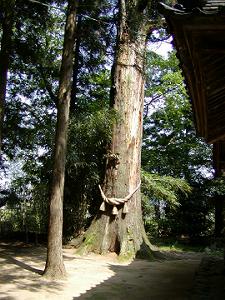 熊野神社