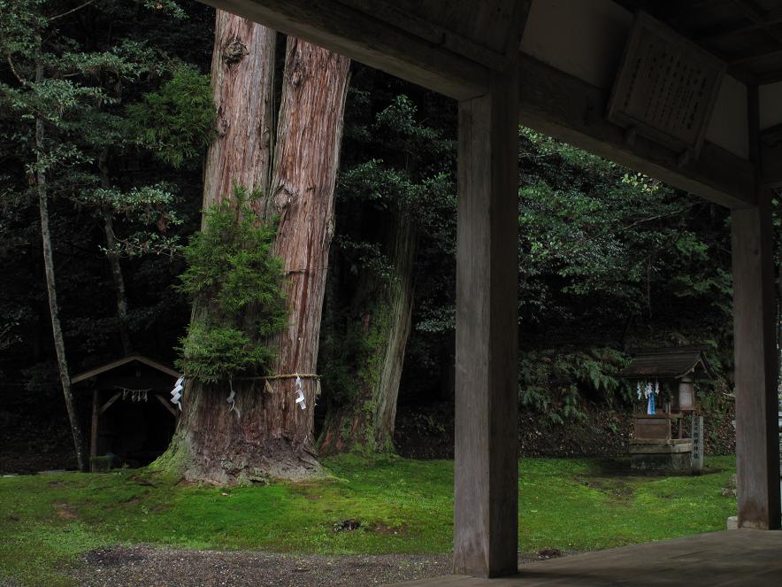 熊野神社（岩戸寺境内社）