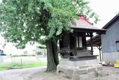 熊野神社本殿