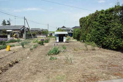 熊野神社遠景