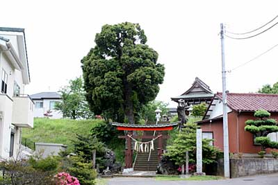 椎名神社遠景