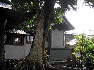 熊野神社本殿