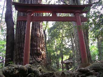 熊野神社鳥居