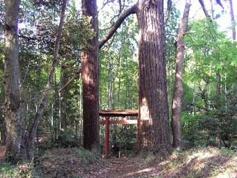 熊野神社鳥居