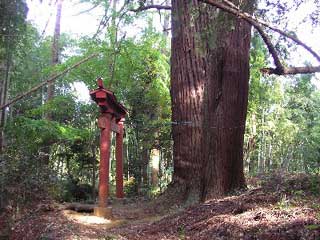 熊野神社鳥居