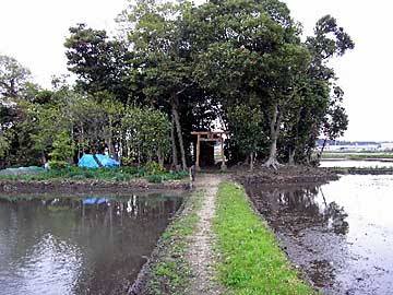 熊野神社遠景