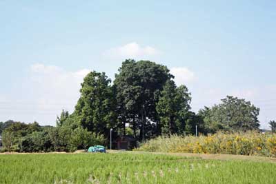 熊野神社遠景