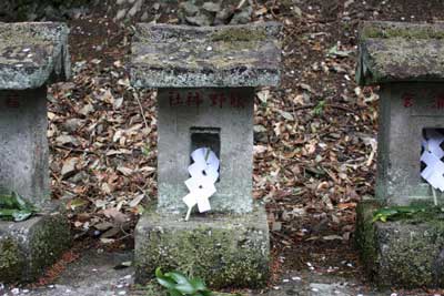 熊野神社（星宮神社境内社）