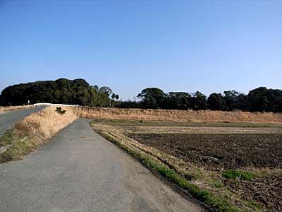 豊川河岸段丘