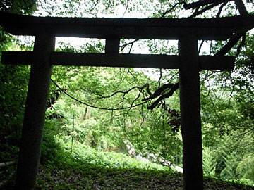 熊野神社鳥居