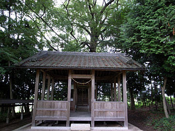 十二神社拝殿・本殿