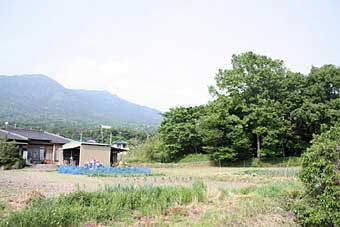 熊野神社遠景