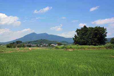 熊野神社遠景