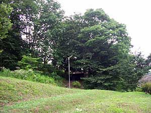 熊野神社遠景