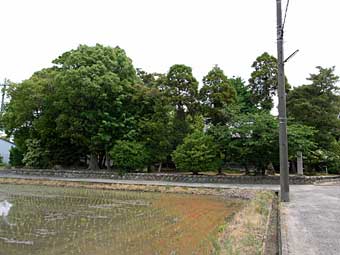 熊野社全景