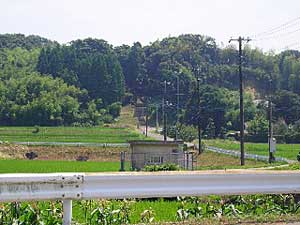 熊野神社遠景