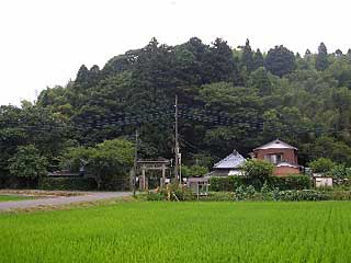 熊野神社遠景