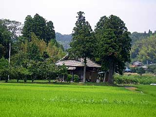 熊野神社遠景