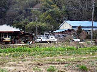 熊野神社遠景