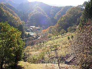 熊野神社周辺