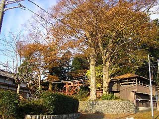 熊野神社遠景