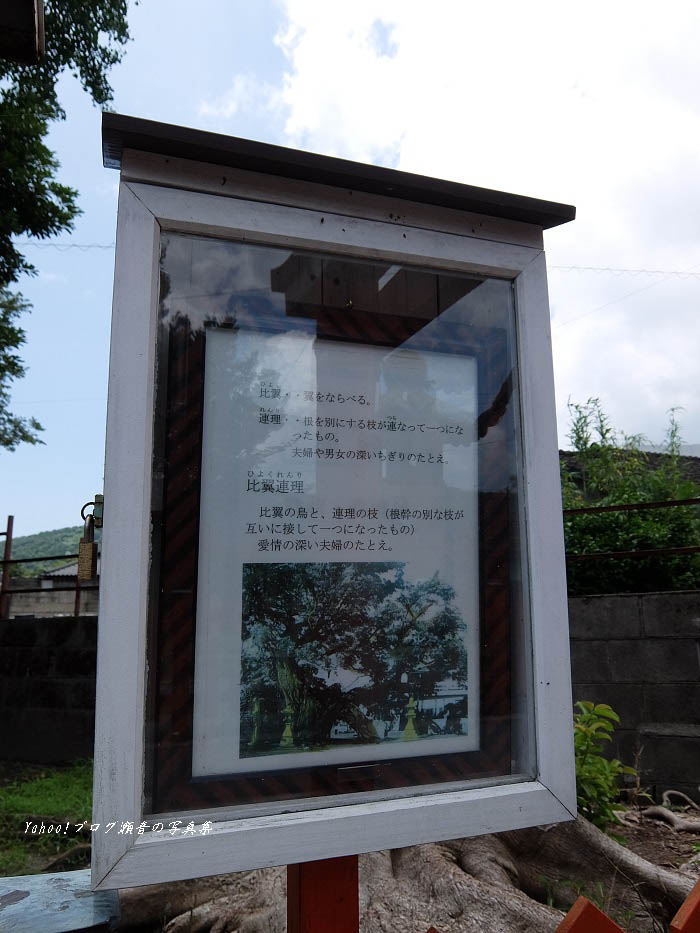 熊野神社境内