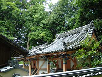 八幡宮熊野神社本殿