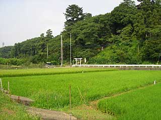 熊野神社遠景