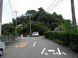 熊野神社遠景