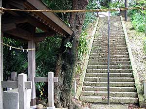 熊野神社石段