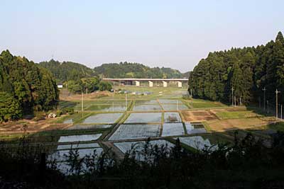 東山神社本殿