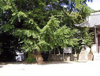 熊野神社