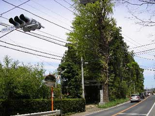 熊野神社遠景