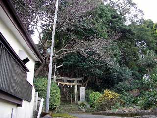 熊野神社遠景