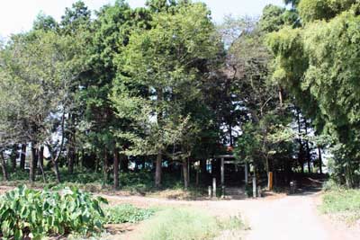 熊野神社遠景