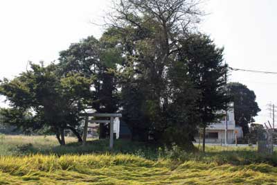 熊野神社遠景