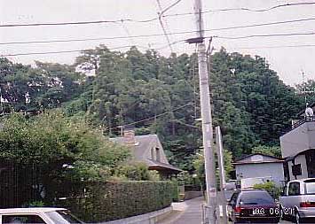 熊野神社遠景